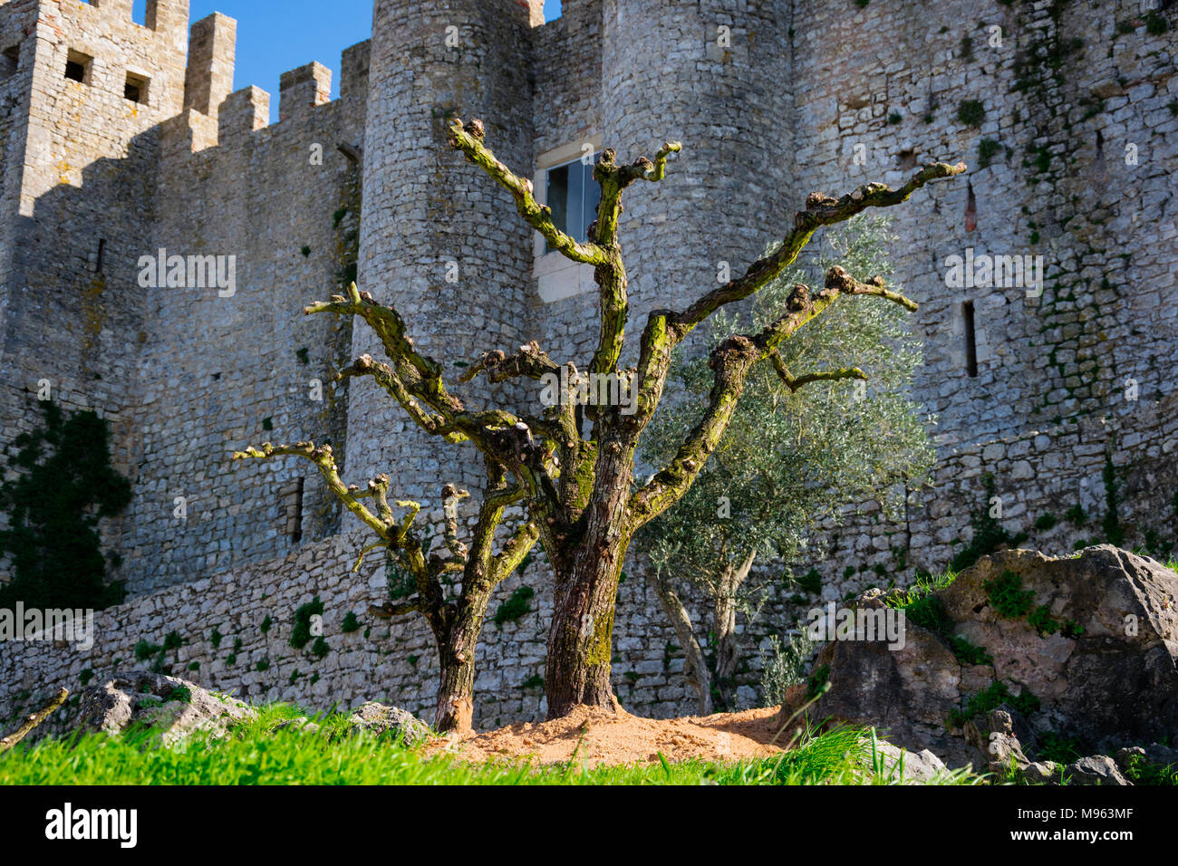 Obidos, Portugal. January 27, 2018. Medieval Castle of Obidos (Castelo