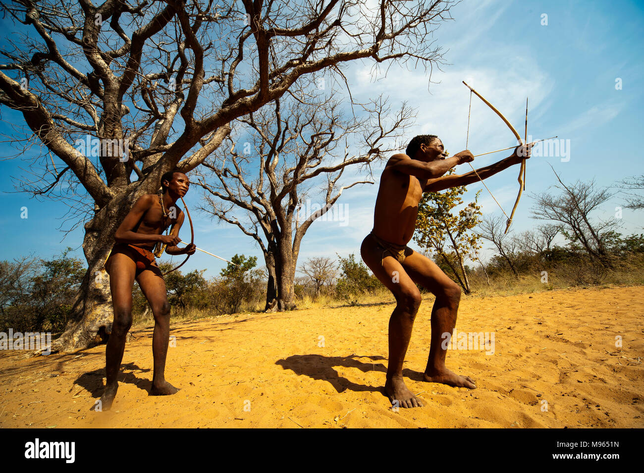 Ju/'Hoansi or San bushmen hunter simulates a hunt with bow and arrow at their village, Grashoek, Namibia Stock Photo