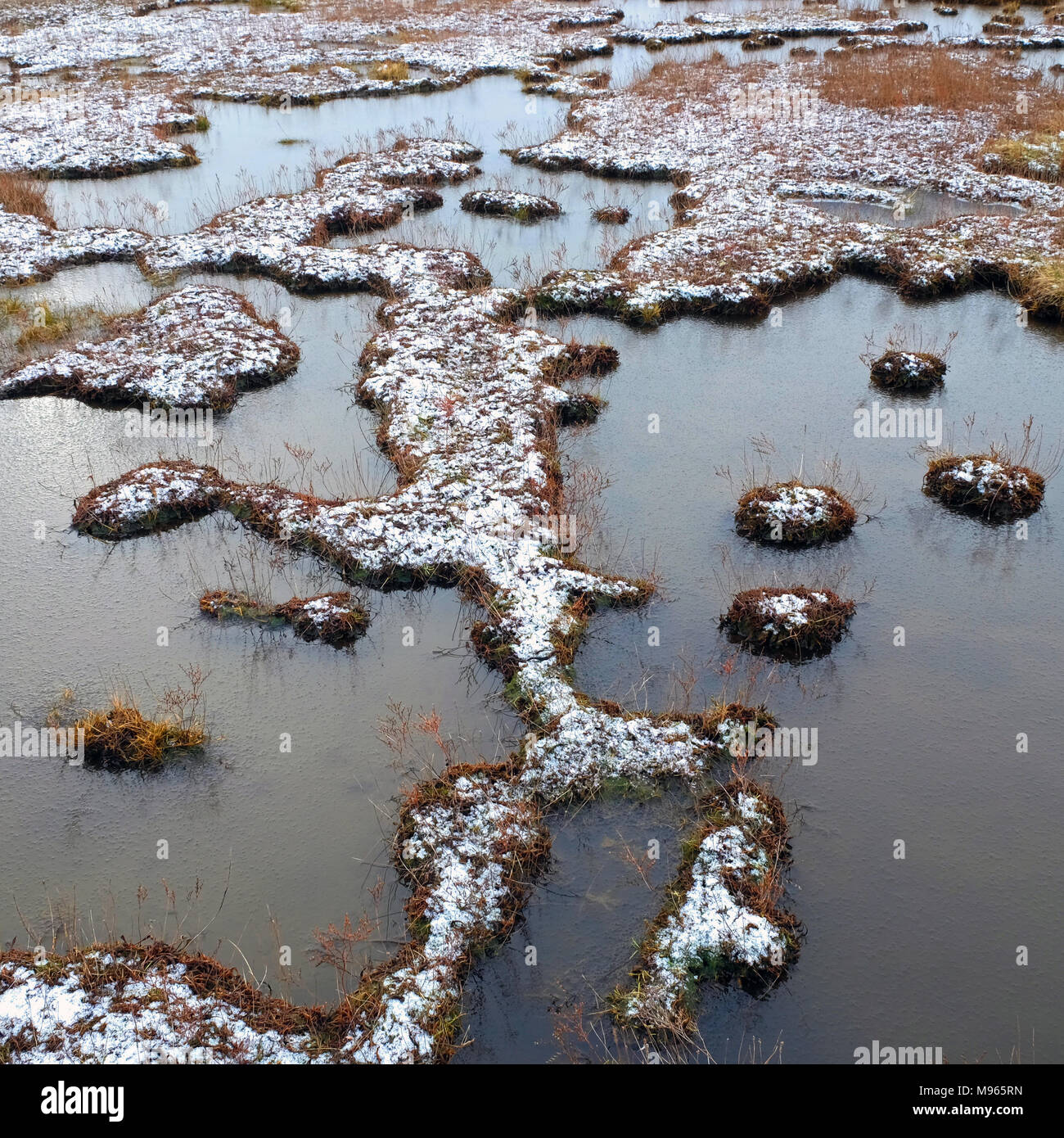 Frost on salt marsh at low tide, Ballycarry, Larne Lough, Northern Ireland. Stock Photo