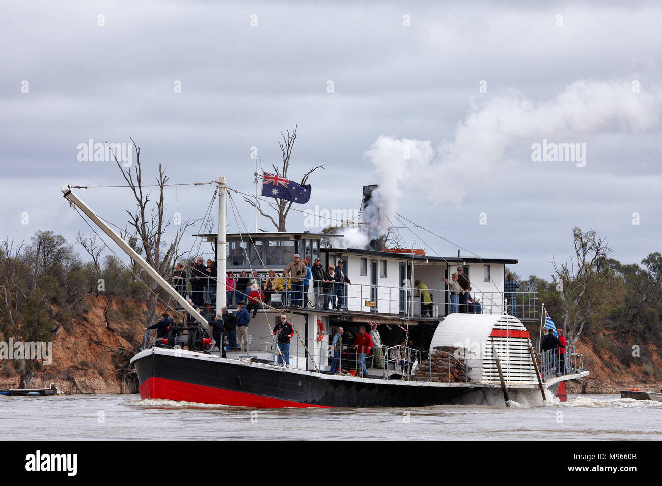 Paddle Steamer Industry, steaming upstream on the Murray River at Curlwaa. PS Industry is normally based out of Renmark South Australia. Stock Photo
