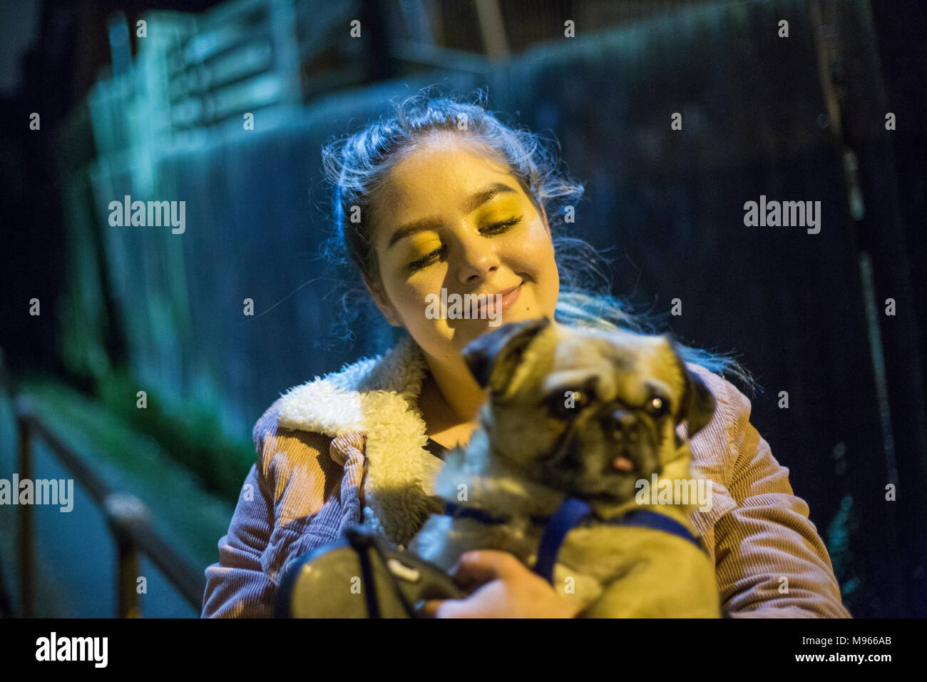 Pugs are the cutest dogs alive ! Stock Photo - Alamy