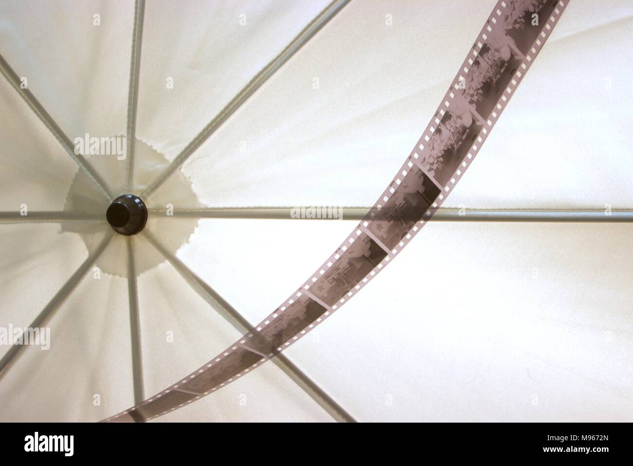 135 negative black and white film laying on a studio flash umbrella Stock Photo