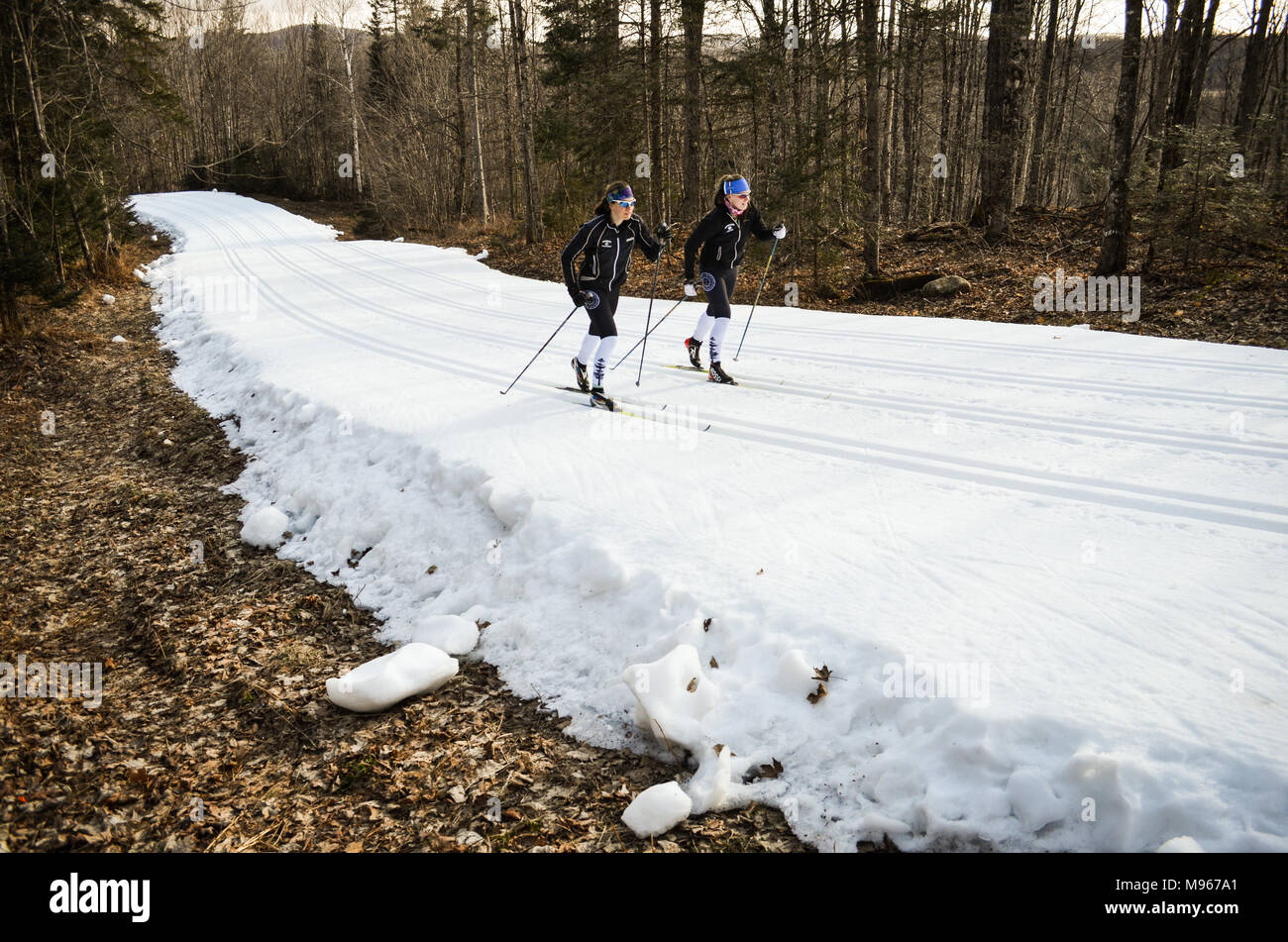 Cross-country skiers ski on a ribbon of manmade snow in northern Vermont in March at the Craftsbury Outdoor Center. There was no natural snow. Stock Photo