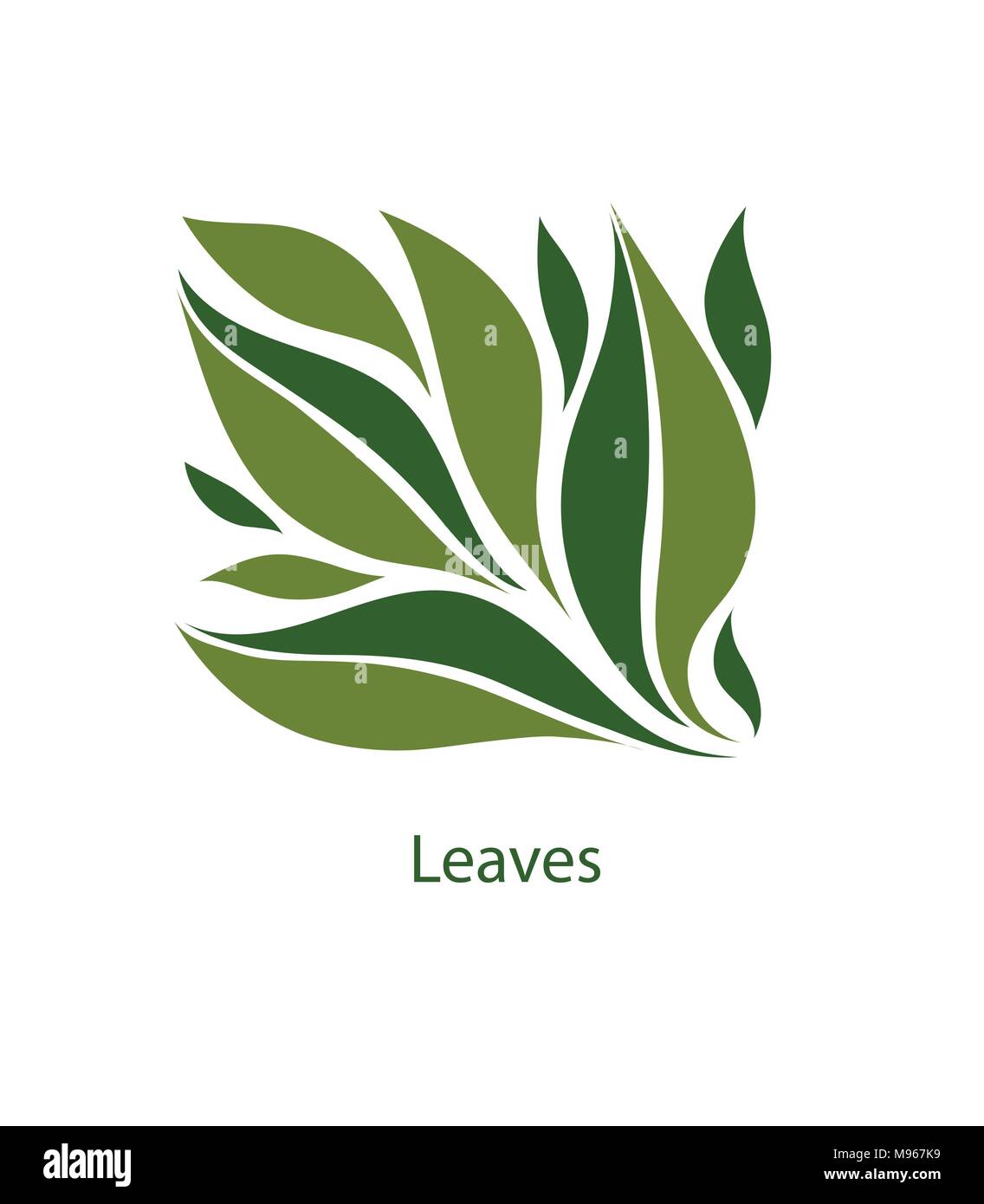Green leaves of trees and plants. Elements for eco, organic and bio logos. Leaves icon vector isolated on white background.  Stock Vector
