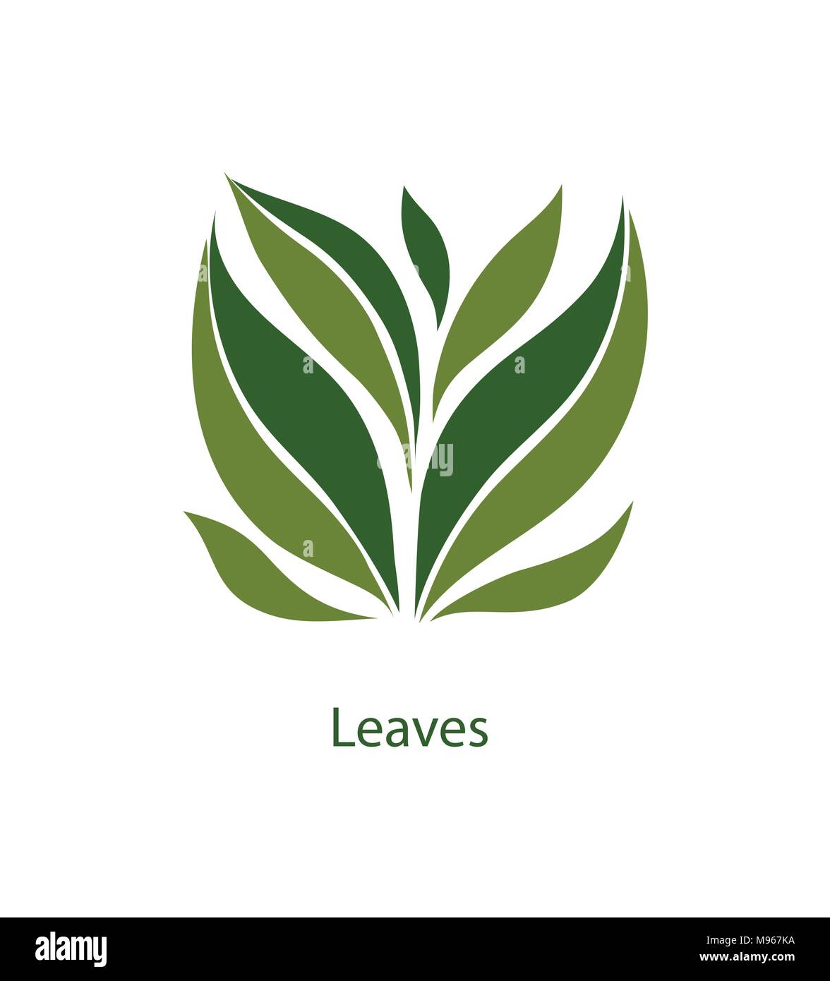Green leaves of trees and plants. Elements for eco, organic and bio logos. Leaves icon vector isolated on white background.  Stock Vector