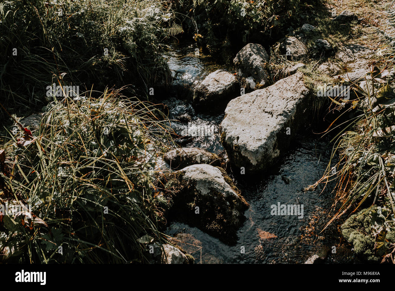 Natural Spring In Rocks Mountain stream, a spring in the rocks on a summer day Stock Photo - Alamy