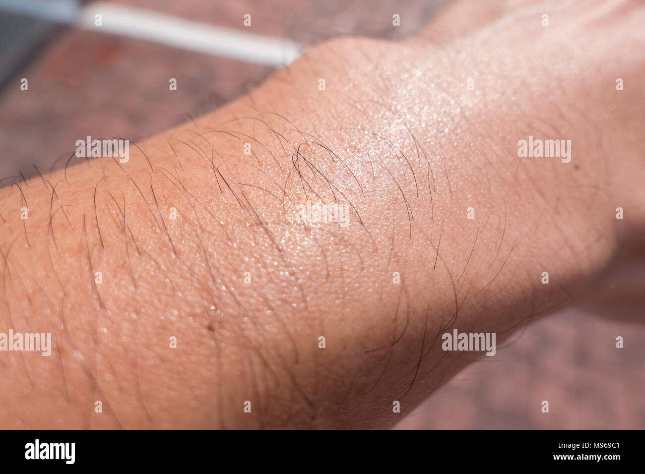 Sweat male arm hair skin pore hot day summer season Stock Photo