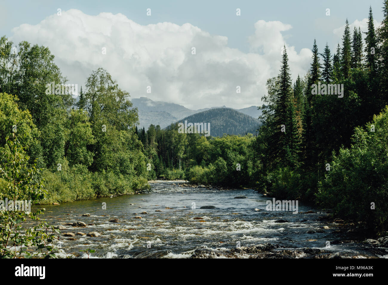 Fast mountain river in rapid flow in the green forest Stock Photo - Alamy