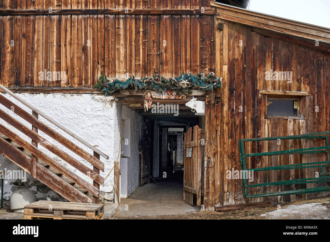 View in light snowfall of entrance to livestock farm buildings in the centre of Obergurgl, with pine foliage and show rosettes over the door Stock Photo