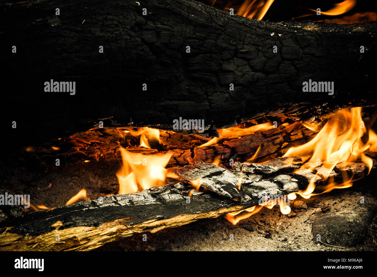 A large forest fire burns in the woods Stock Photo