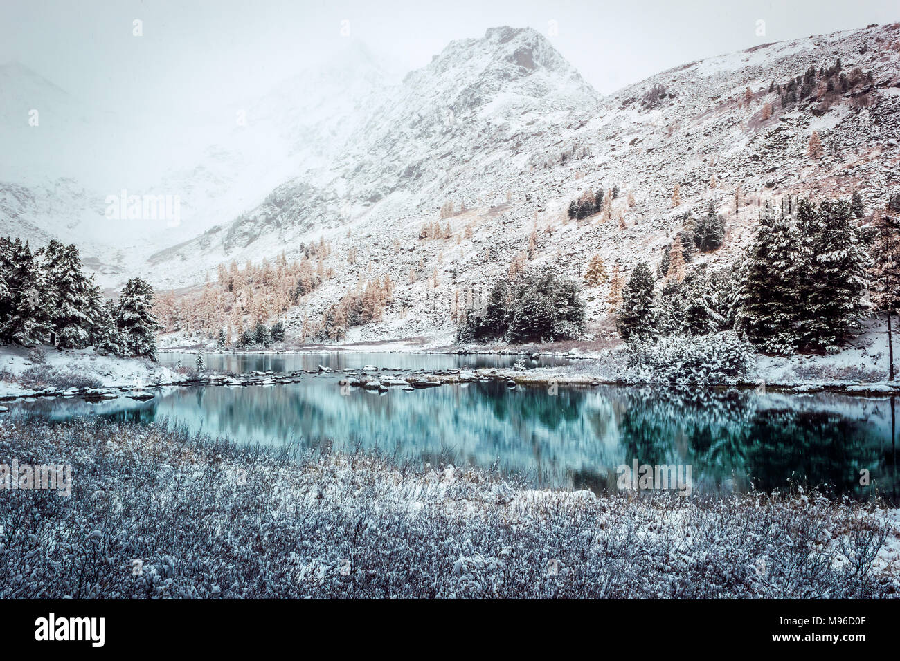 Reflection coniferous forest lake hi-res stock photography and images ...