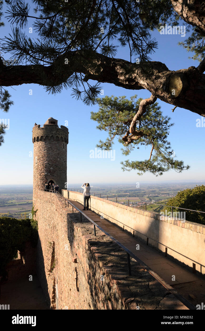 Auerbacher Schloss im Winter, Bensheim-Auerbach, Bergstrasse, Odenwald, Hessen, Deutschland Stock Photo