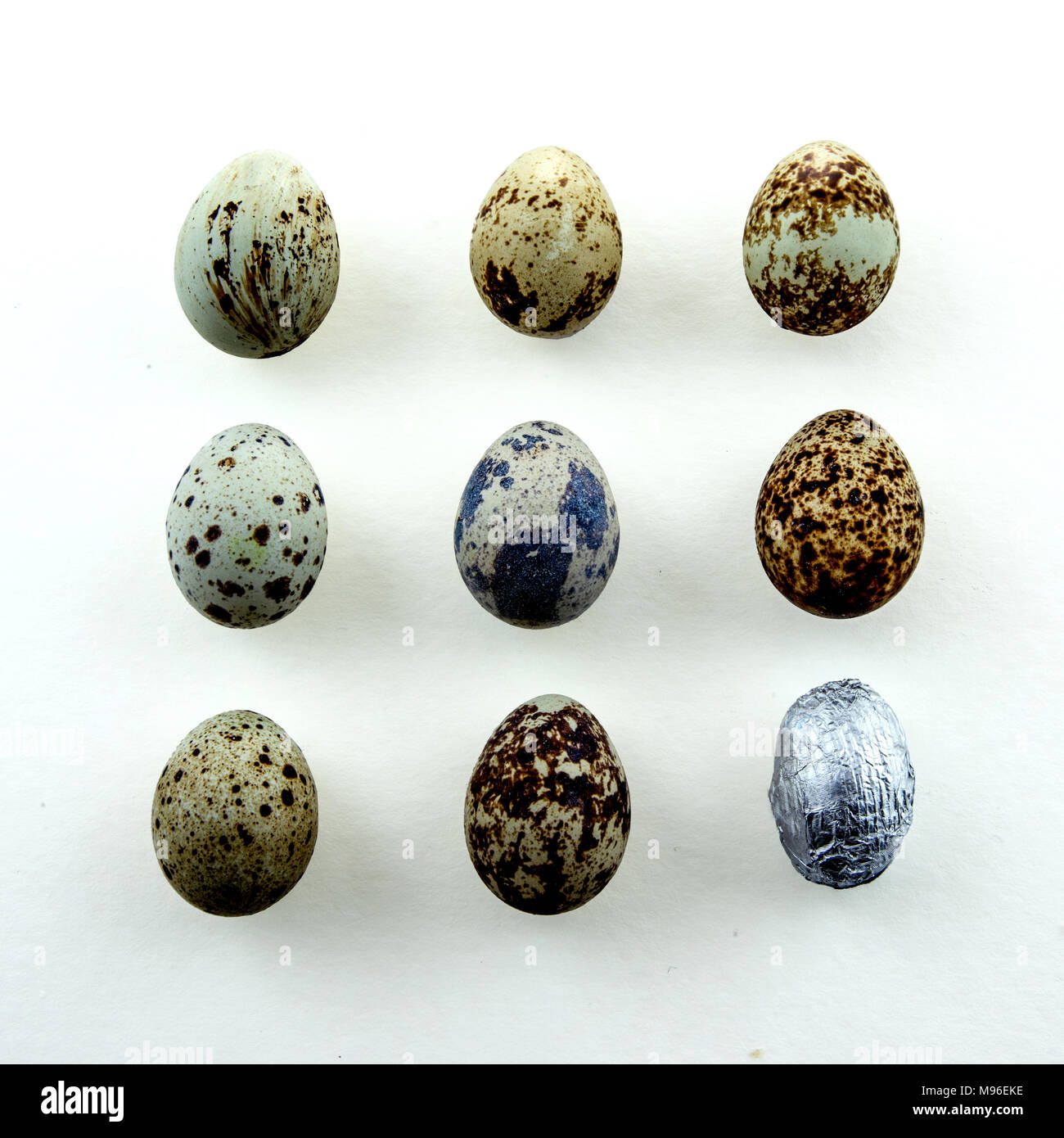 Study and composition of common home objects Stock Photo - Alamy