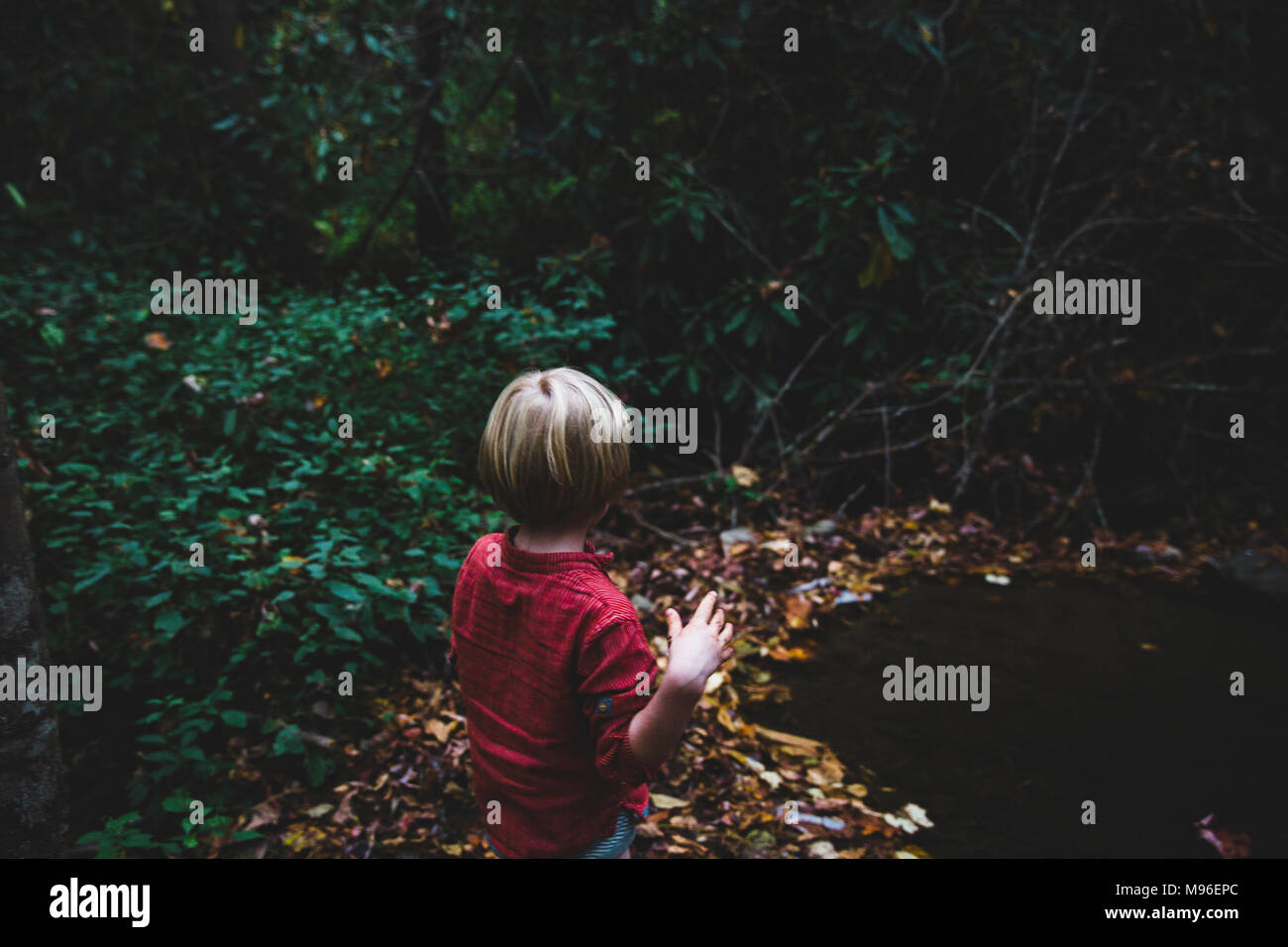 Child walking alone forest hi-res stock photography and images - Alamy