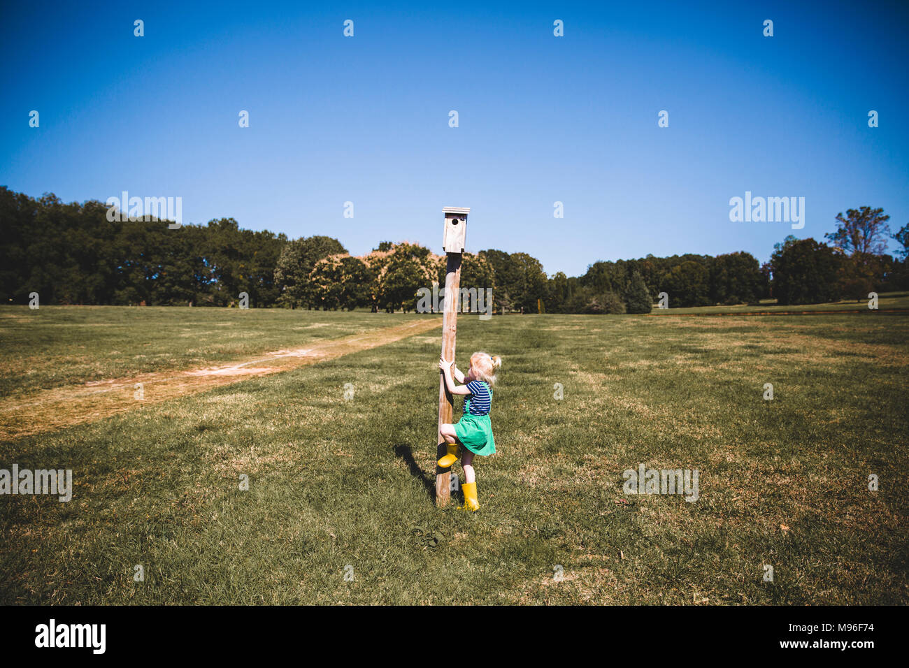 Girl trying to climb pole Stock Photo Alamy