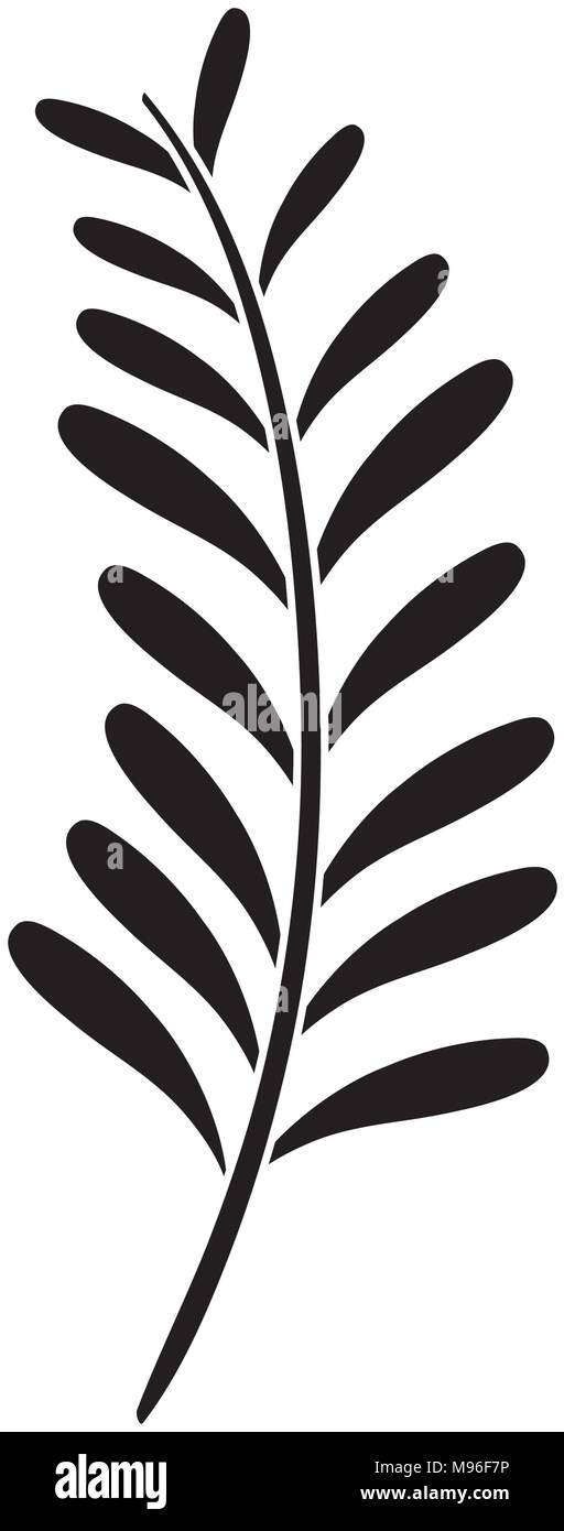 Silhouette Palm Leaves Tropical Nature Plant Stock Vector Image Art Alamy