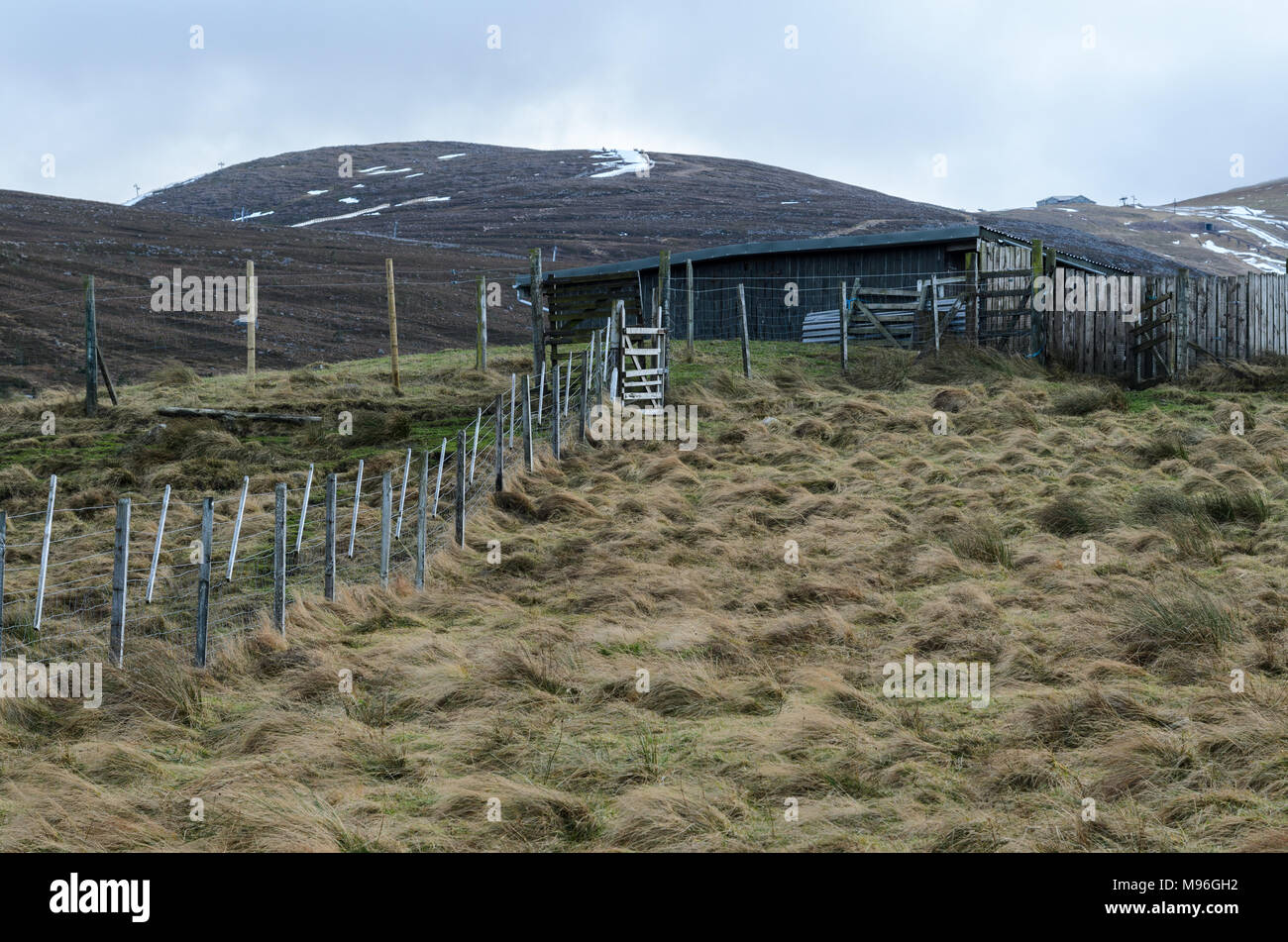 Reindeer Paddock and Shelter on the slopes of the Cairngorm Mountain in the Scottish Highlands Stock Photo