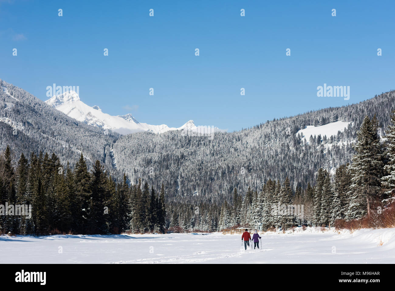 Couple walking together in snowy landscape Stock Photo