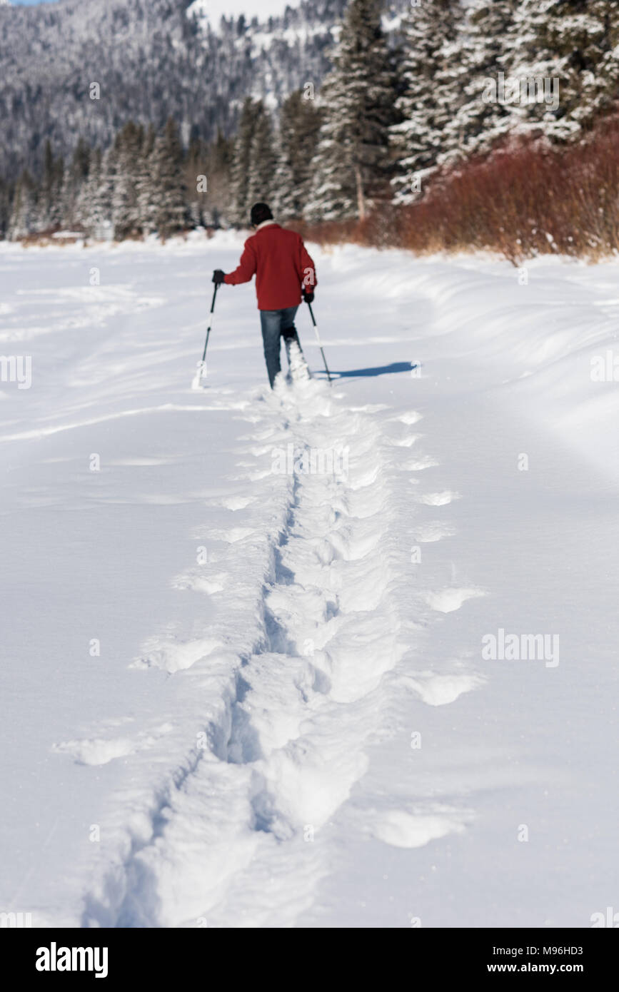 Man walking with ski poles in snowy landscape Stock Photo