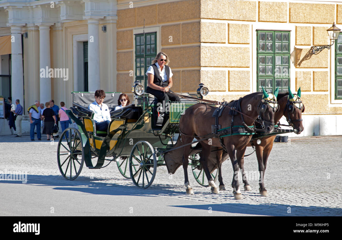 Vienna's famous two horse carriage the fiaker in the city centre Stock ...