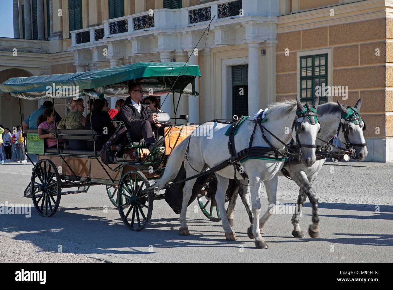 Vienna's famous two horse carriage the fiaker in the city centre Stock ...