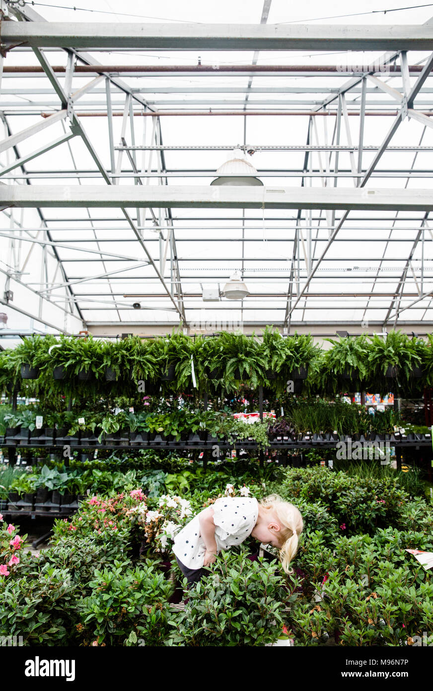 Child in garden center hi-res stock photography and images - Alamy