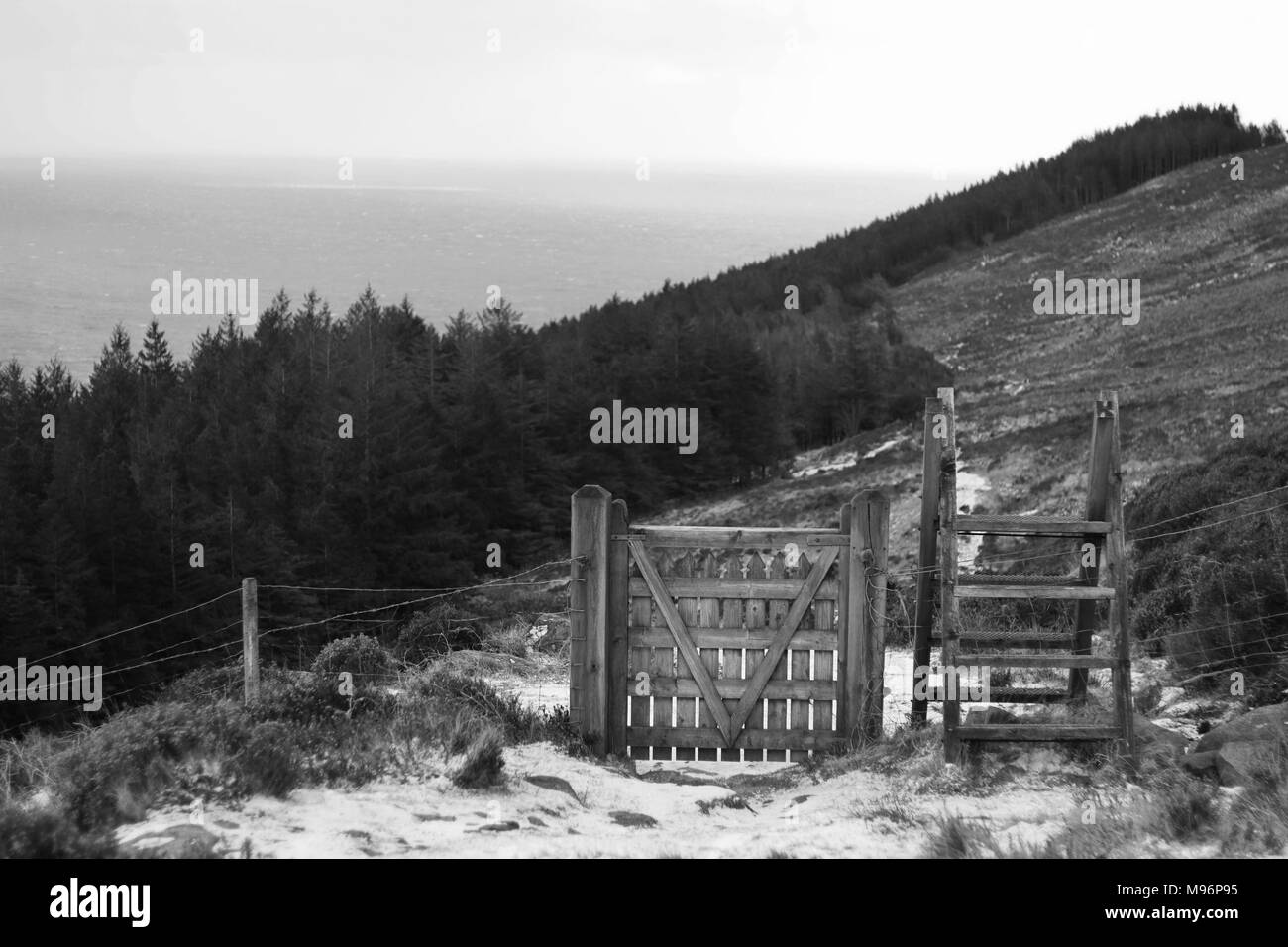 A gate and fence ladder on the mountainside looking off towards the Irish Sea. Stock Photo