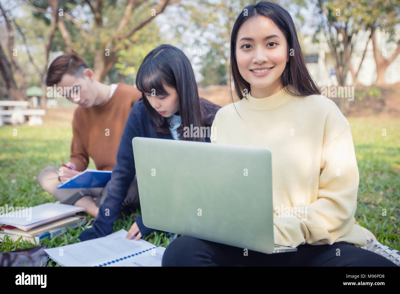Group Of University Students asian sitting on the green grass Working ...