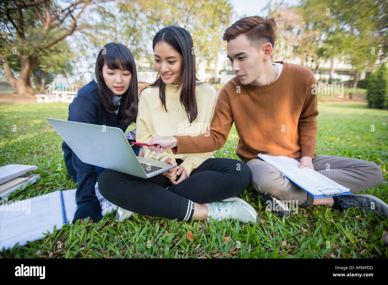 Group Of University Students asian sitting on the green grass Working ...