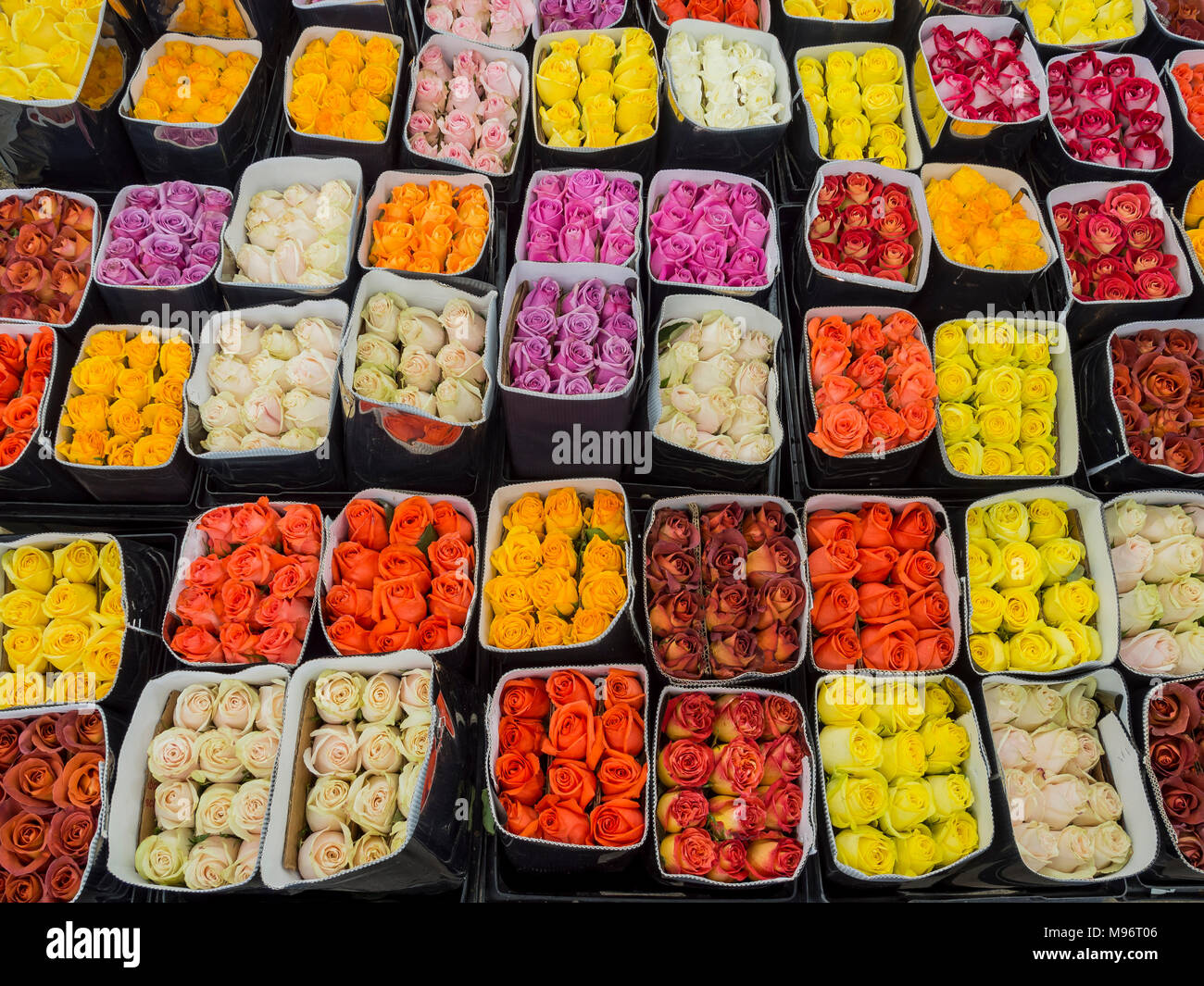 Many boxes of different color of Roses at Flower Market of Los Angeles