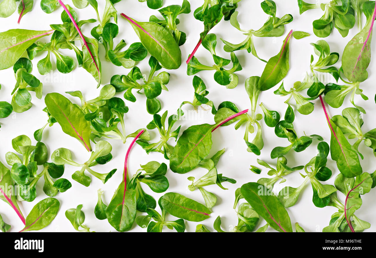 Salad leaves Valerianella on white background. View from above. Stock Photo