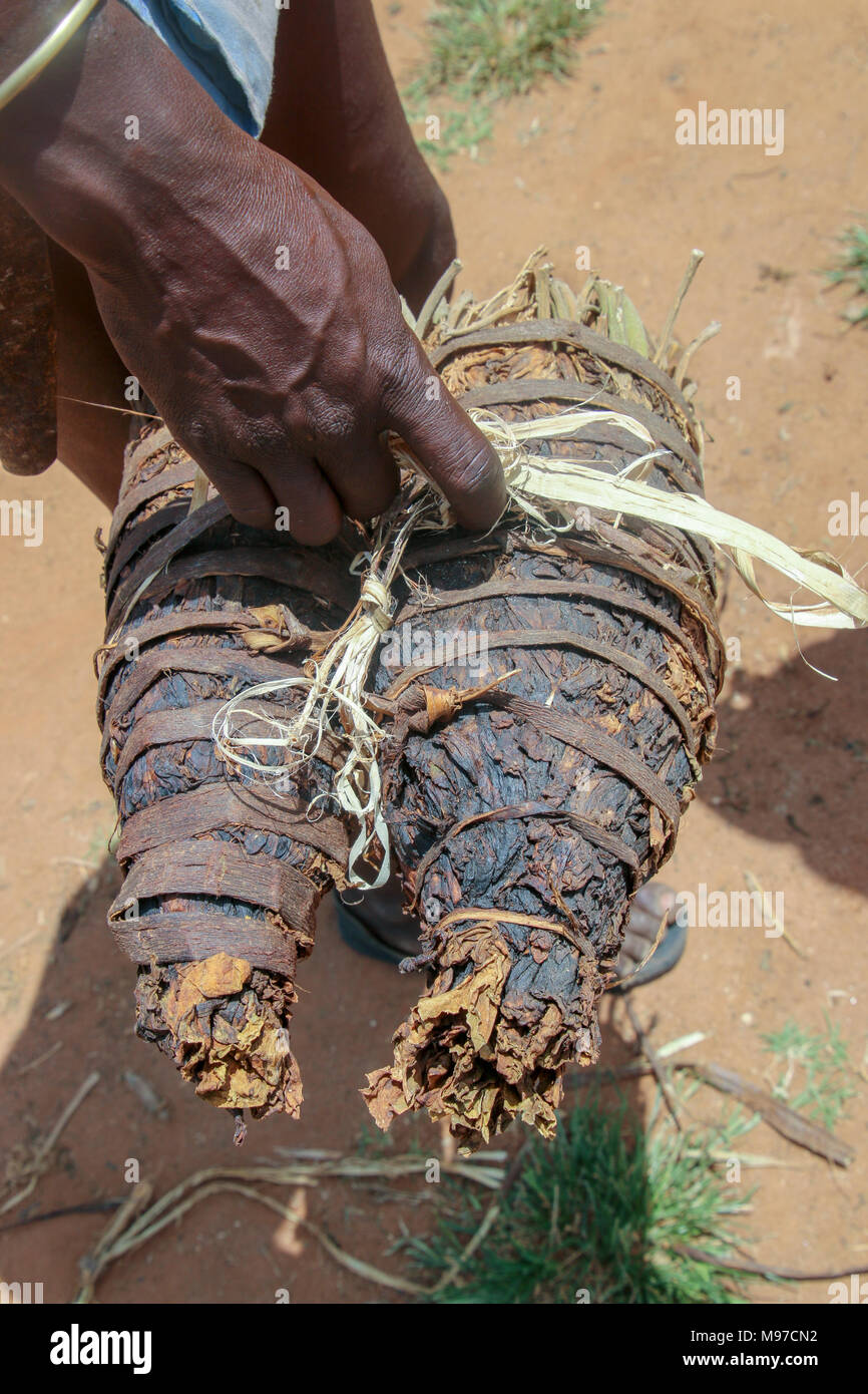 ethiopian tobacco Hamer tribesman with tobacco leaves Photographed in the Omo River Valley,  Ethiopia Stock Photo