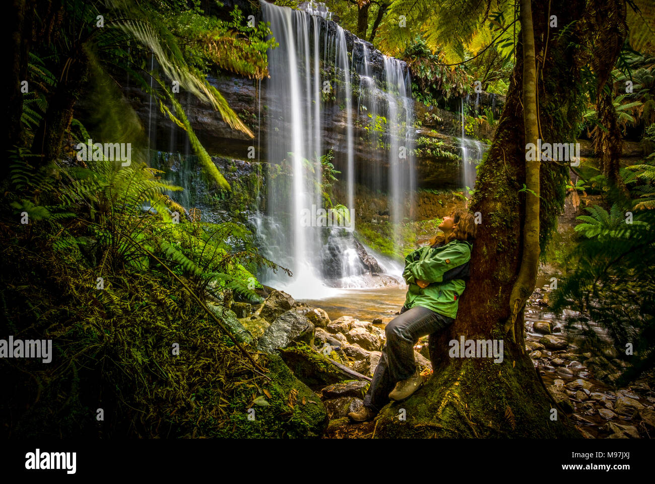 Australien, Tasmanien, Urwald, Wasserfall, Wasser, Russell Falls, Mount Field National Park Stock Photo