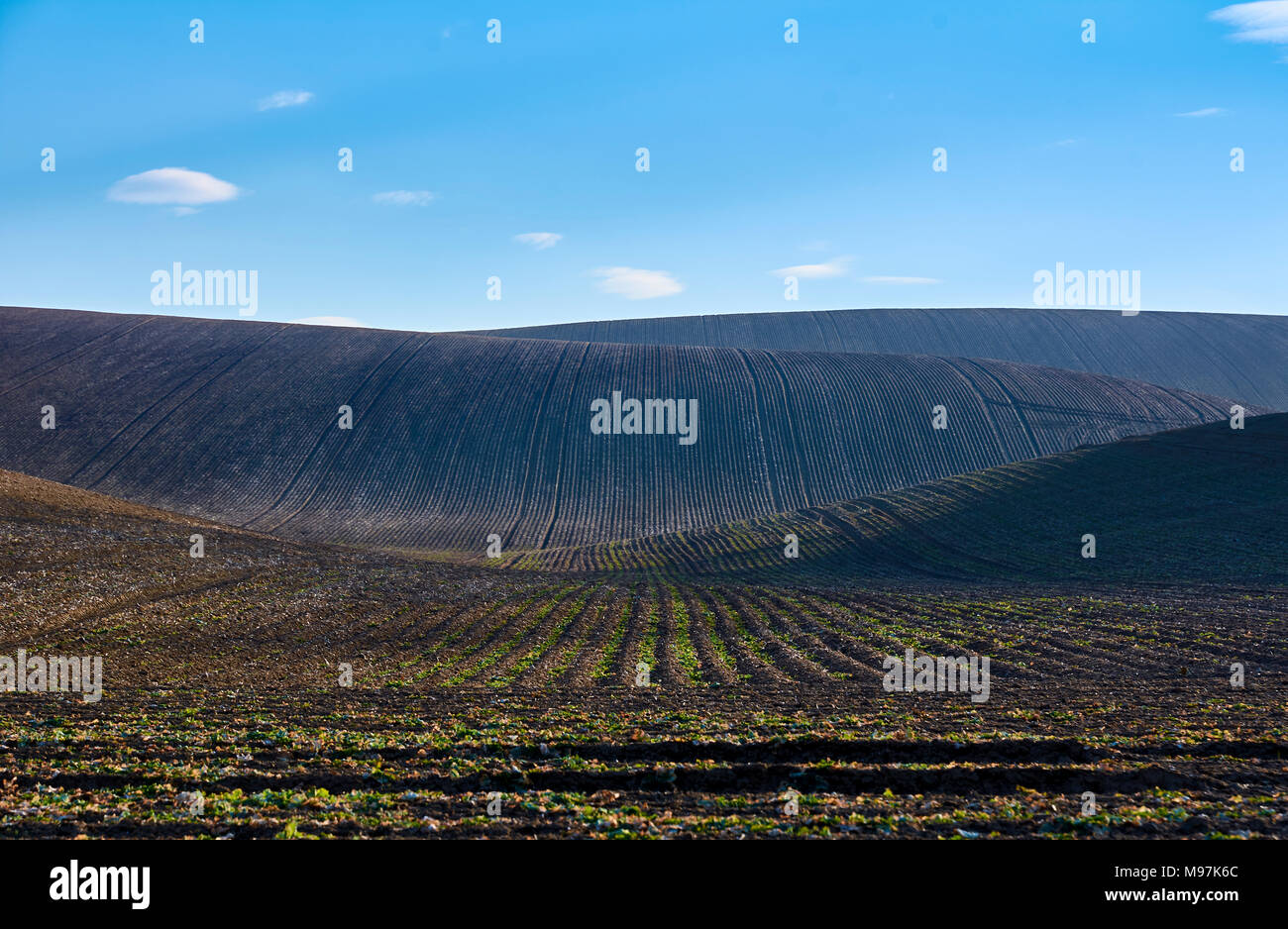 plowed fields on the hills under a clear blue sky with white clouds Stock Photo