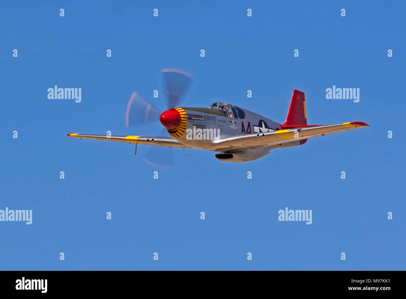 P 51 red tail hi-res stock photography and images - Alamy