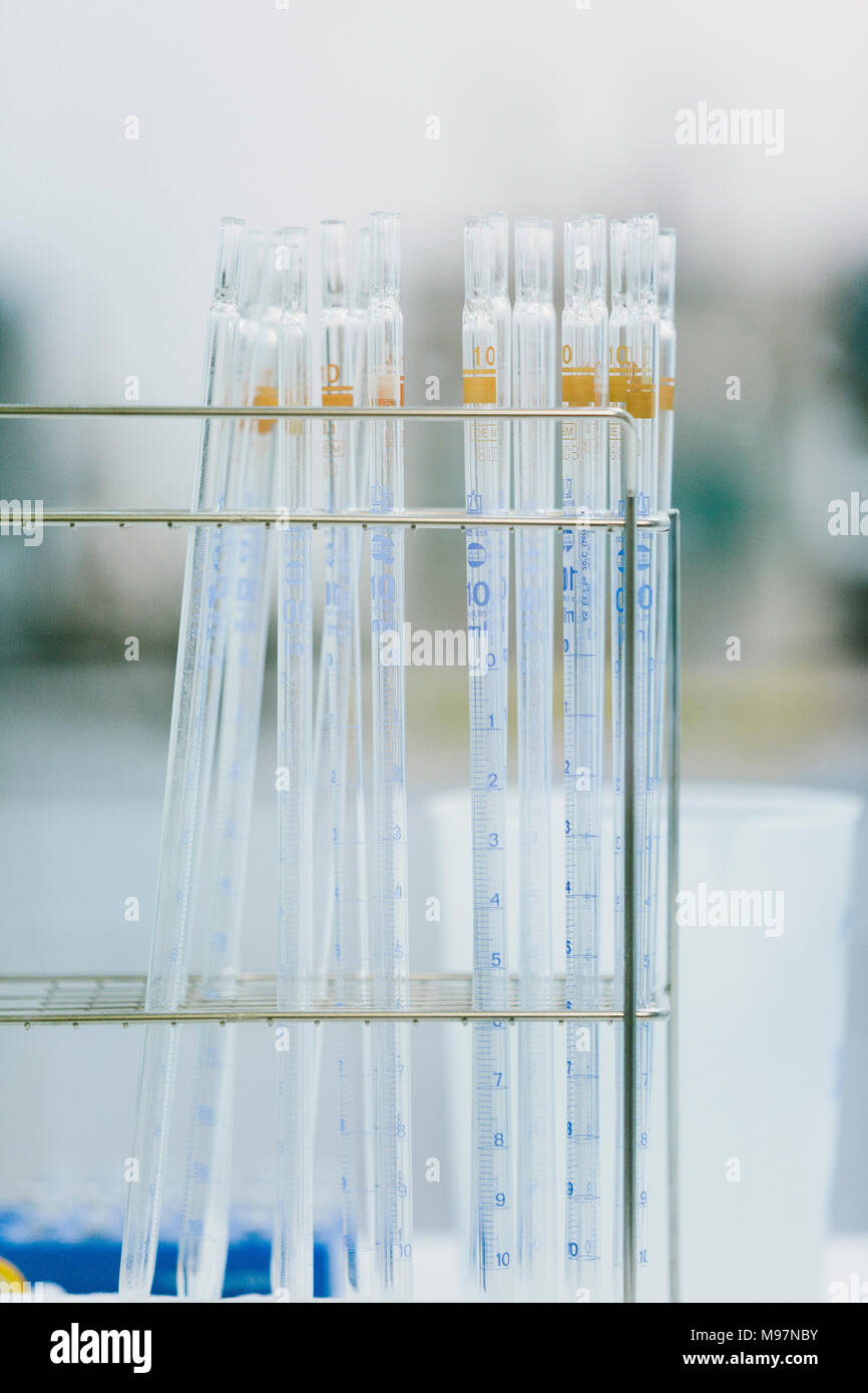 Test tubes in a laboratory Stock Photo Alamy