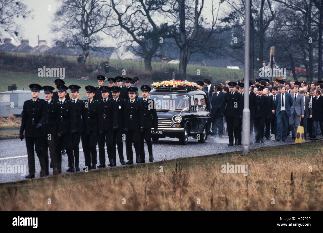 Dead ruc hi-res stock photography and images - Alamy