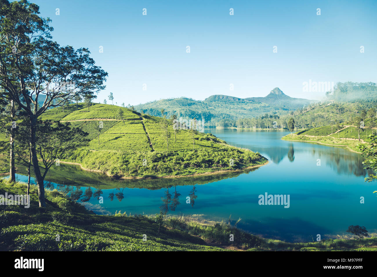 Beautiful Landscape Of Sri Lanka River Mountains And Tea Plantations 