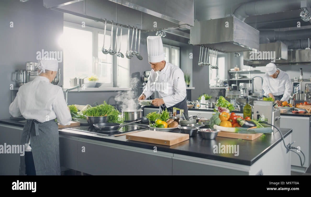 Big and Glamorous Restaurant Busy Kitchen, Chefs and Cooks Working on their Dishes. Stock Photo