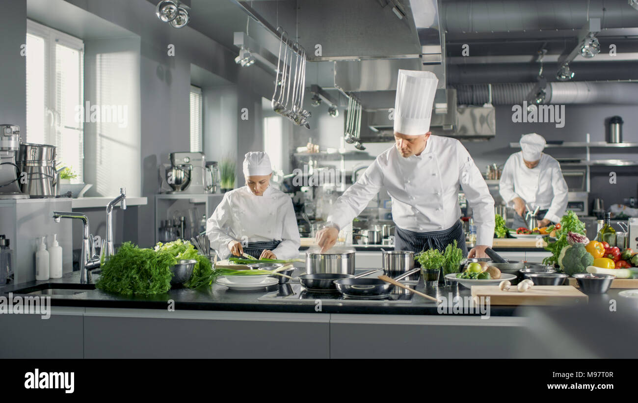 Famous Chef Works in a Big Restaurant Kitchen with His Help. Kitchen is