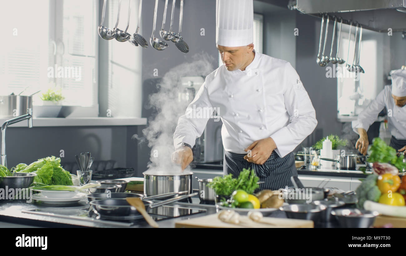 Famous Chef of a Big Restaurant Prepares Dishes with His Help of Cooks