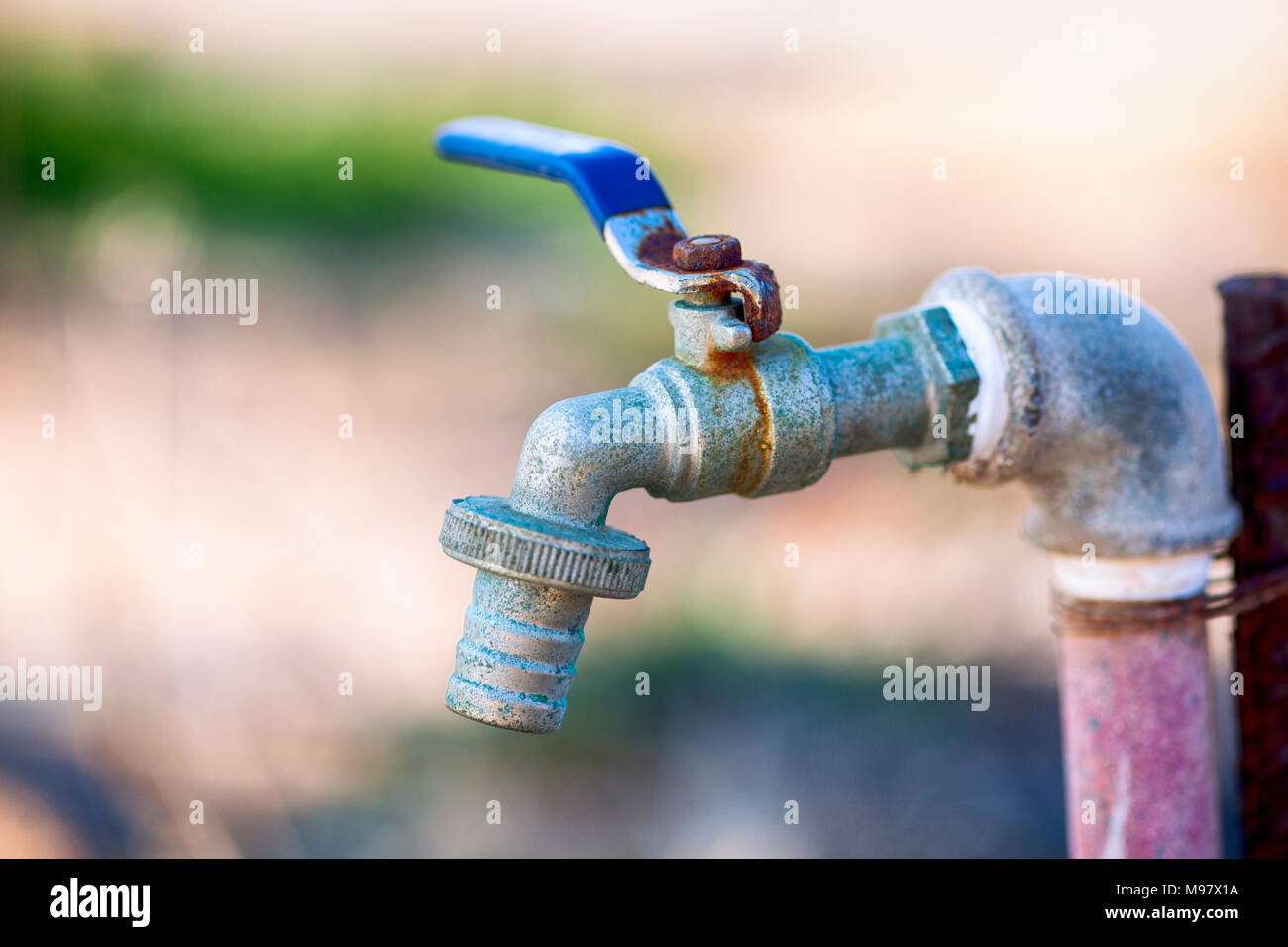 Garden water tap hires stock photography and images Alamy