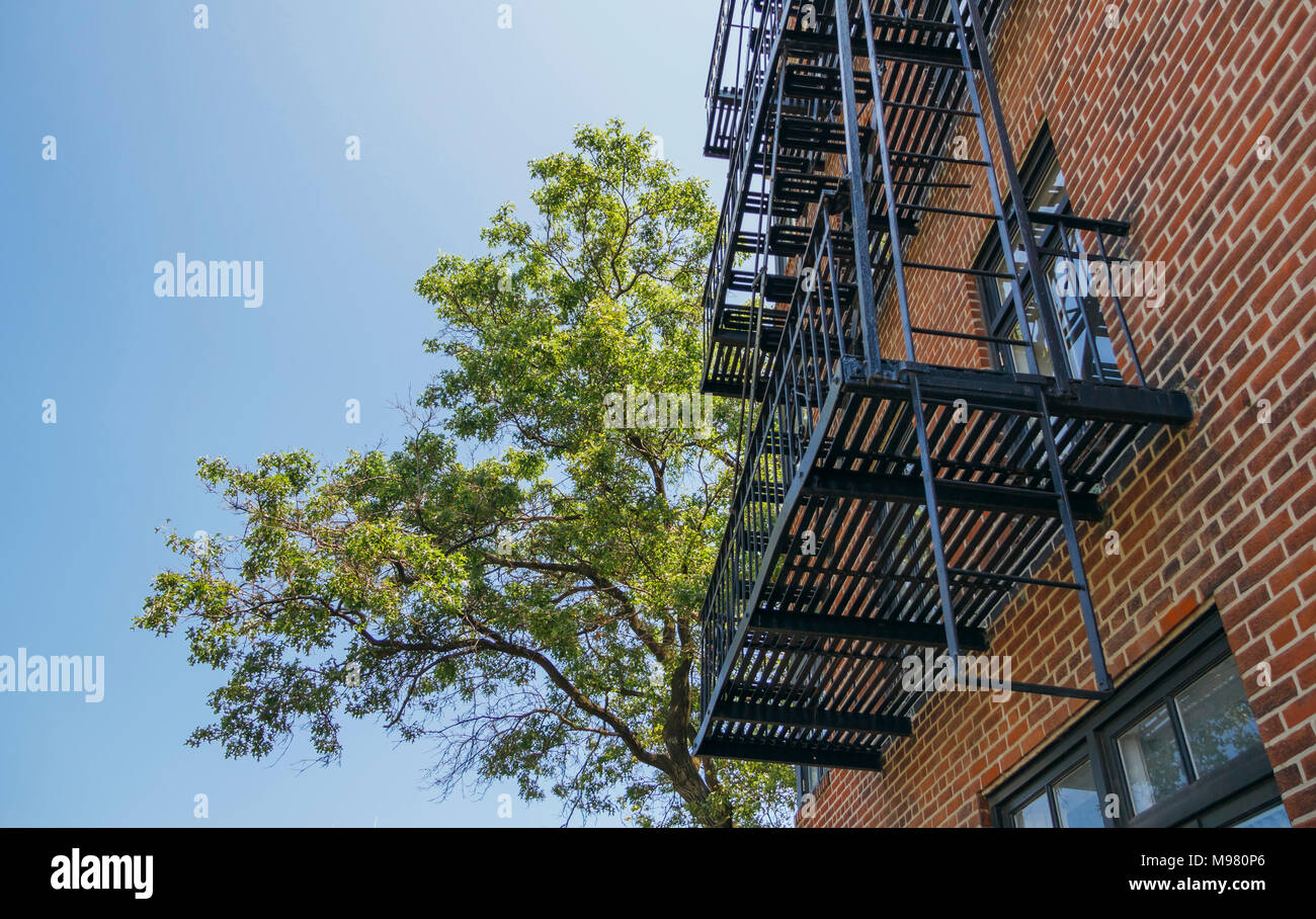 USA, New York, Brooklyn, Close up of fire escape over red brick facade Stock Photo