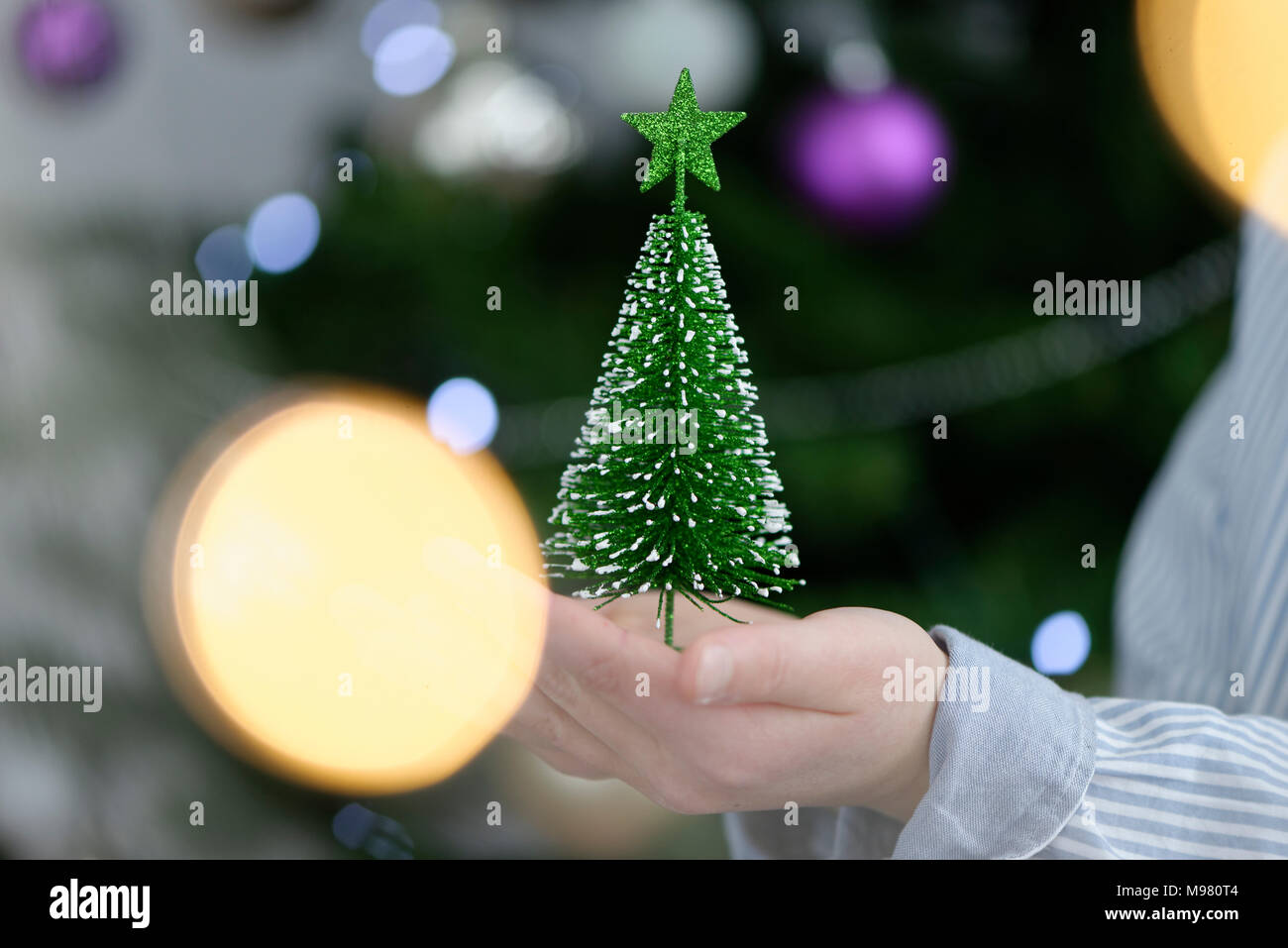 Junge, Kind hält einen kleinen Tannenbaum mit Lichterketten vor dem Christbaum, Weihnachten,  Bayern, Deutschland Stock Photo