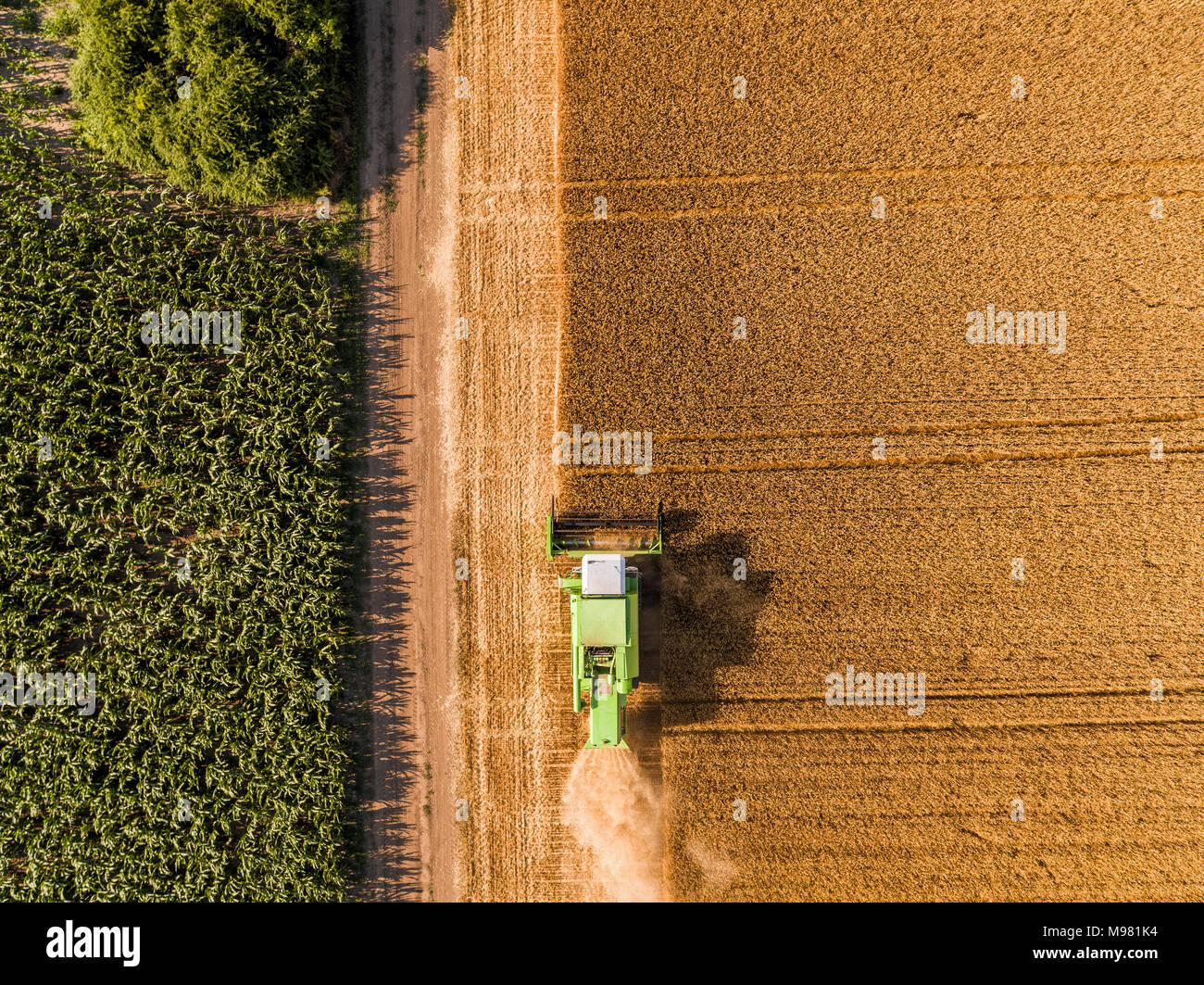 Combine harvester on a field of wheat, aerial view Stock Photo - Alamy