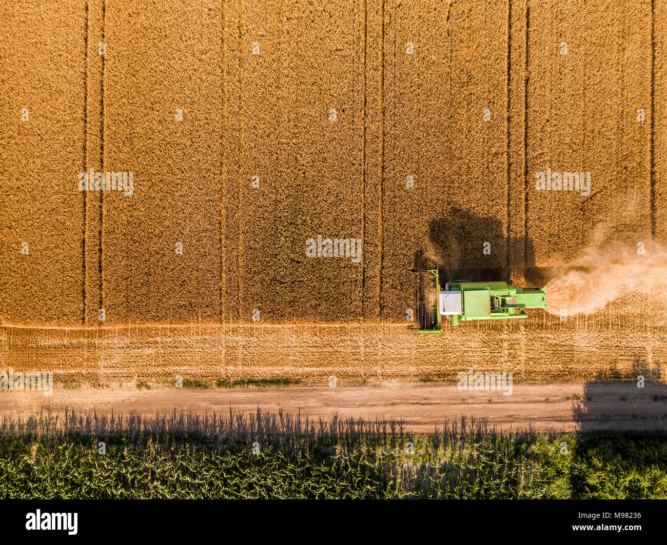 Combine harvester on a field of wheat, aerial view Stock Photo - Alamy