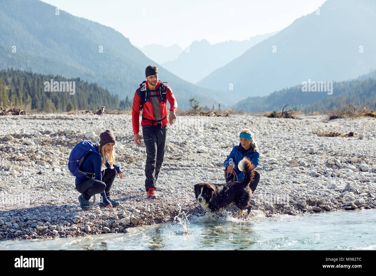 Hiking with dog hi-res stock photography and images - Alamy