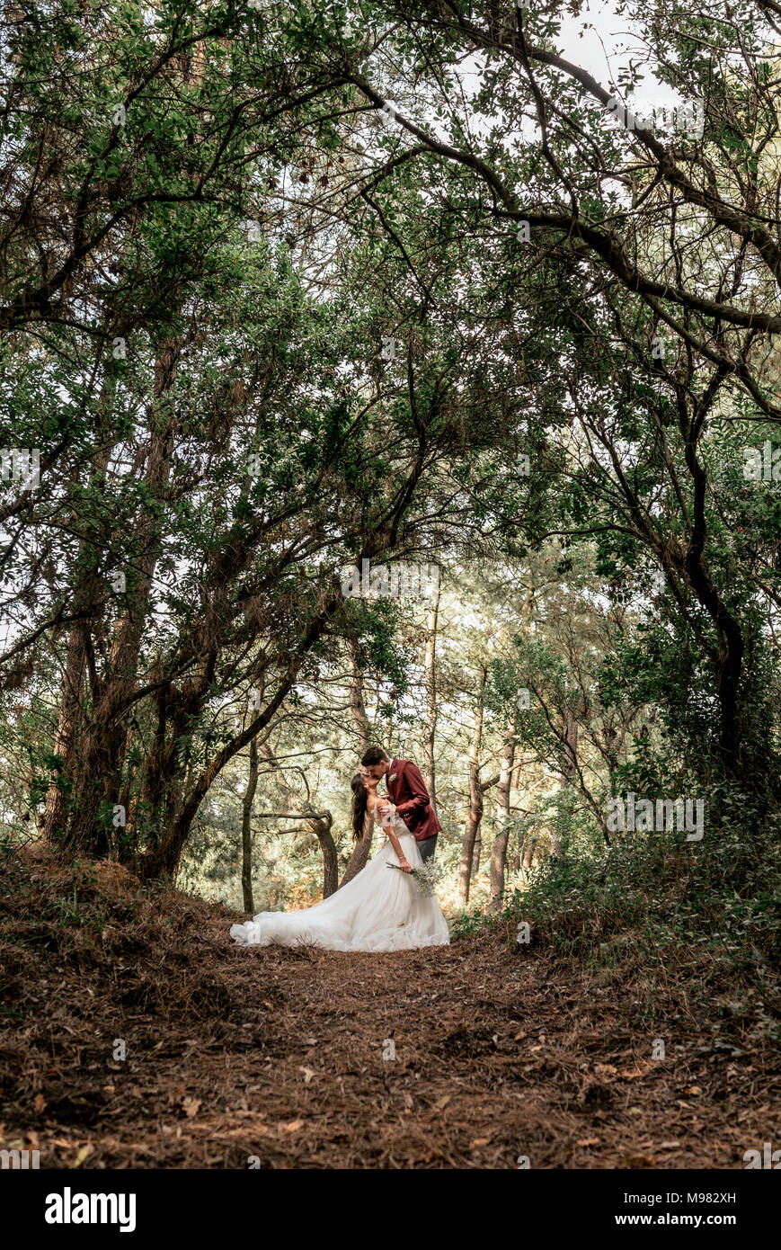 Bride and groom kissing passionately under big trees in the forest ...