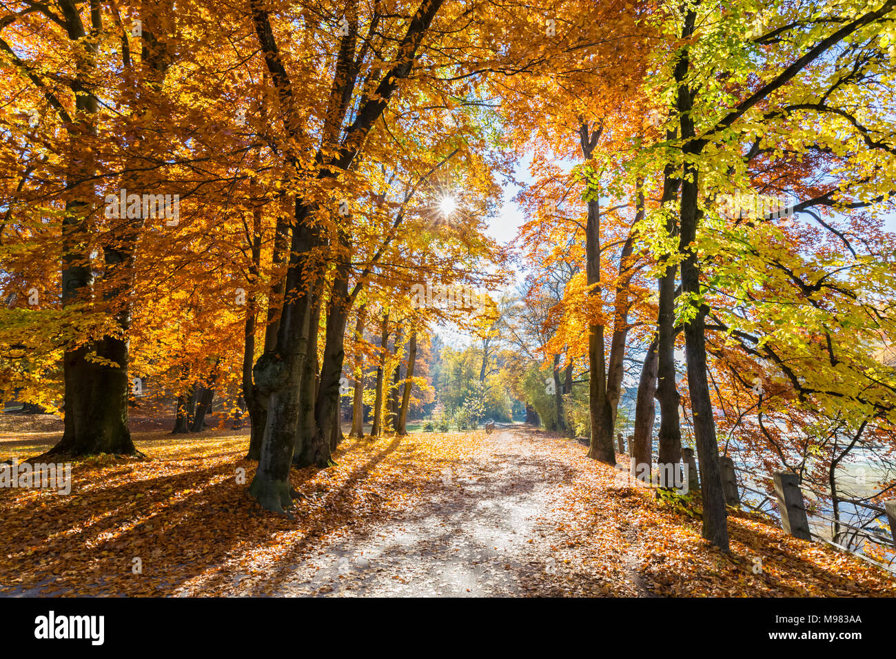 Germany, Bavaria, Munich, river Isar, path in autumn Stock Photo
