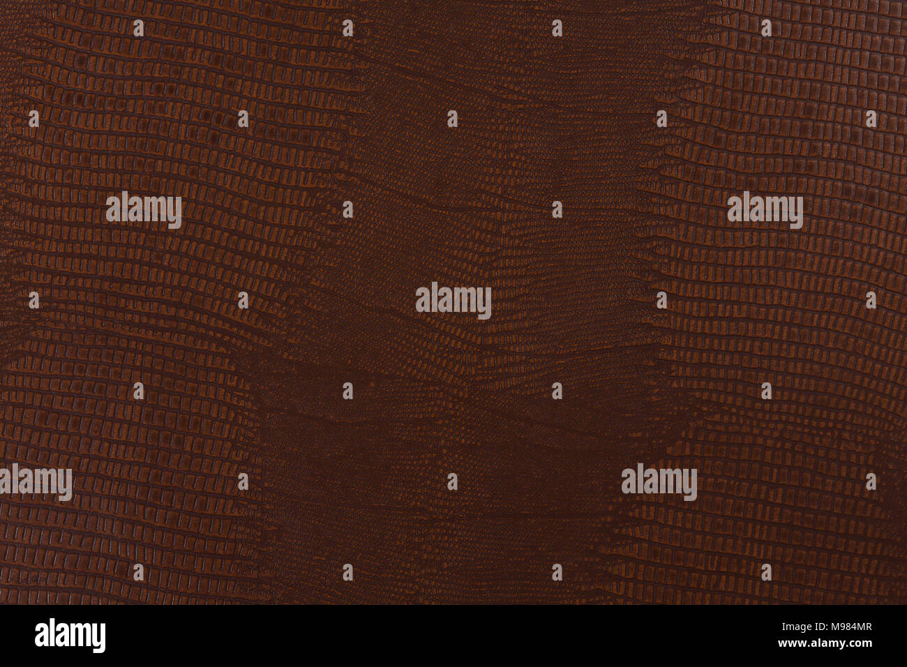 Reptile skin, crocodile or snake Stock Photo - Alamy